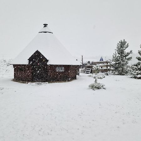 Pod Bukovkou Apartamento Petrov nad Desnou Exterior foto