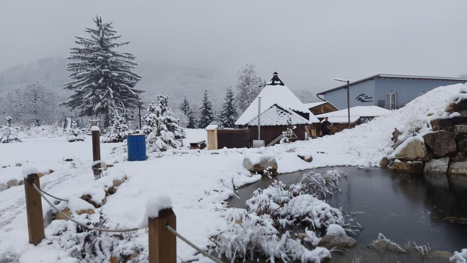 Pod Bukovkou Apartamento Petrov nad Desnou Exterior foto