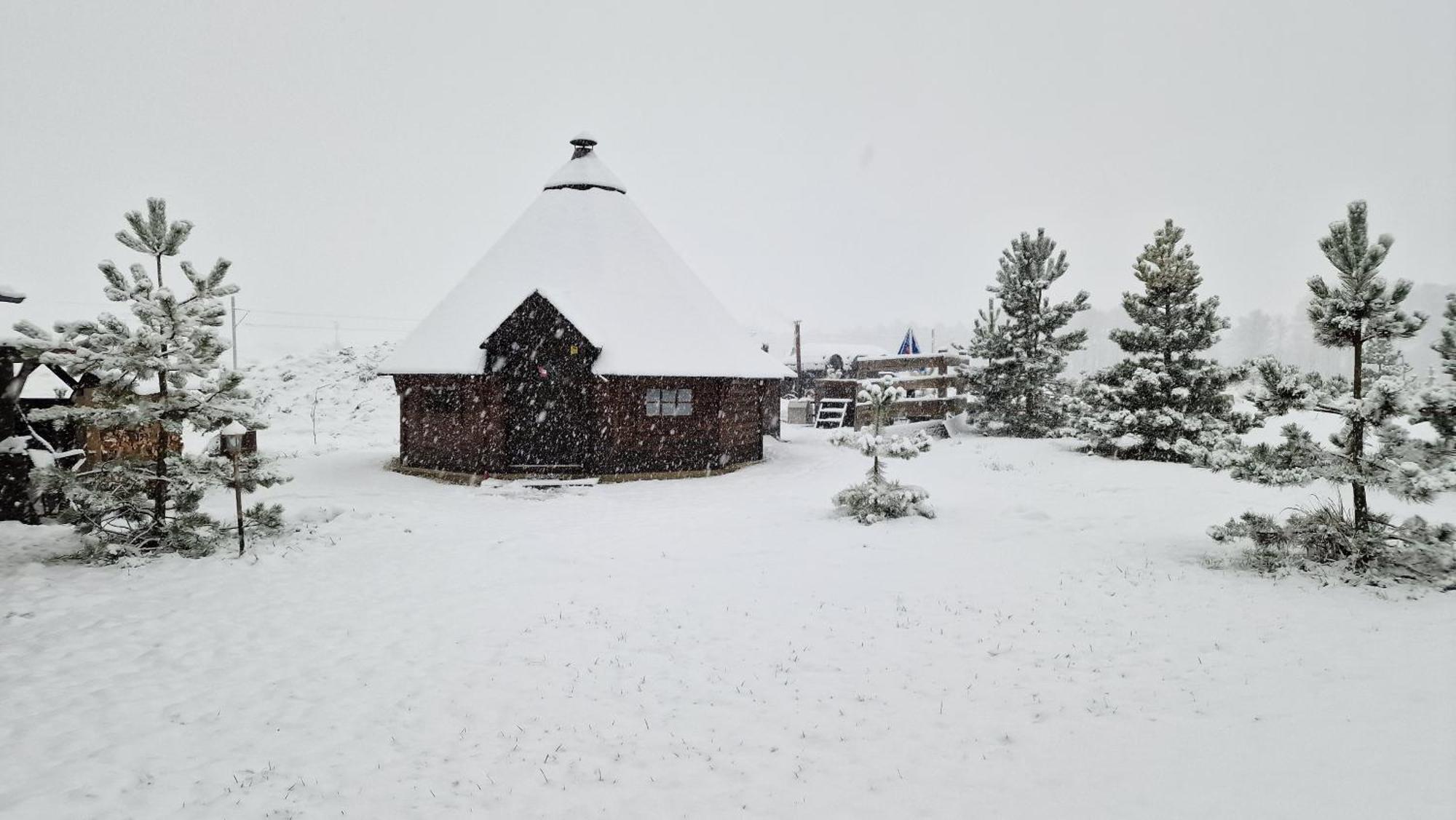 Pod Bukovkou Apartamento Petrov nad Desnou Exterior foto